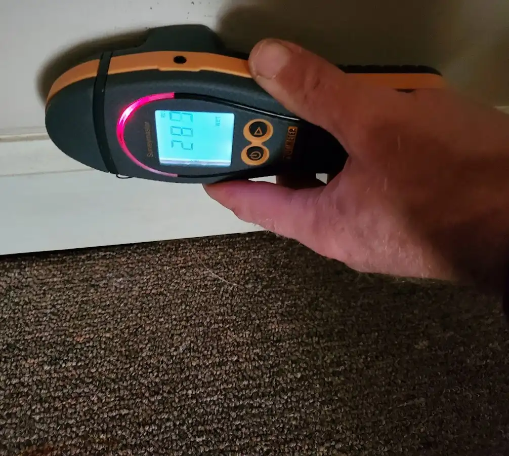 Moisture detection at baseboard during Sewage Cleanup & Sanitation in Gardner